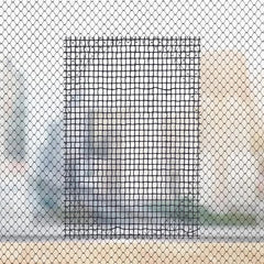 No More Mosquitoes – Quick Fix Tape for Windows & Doors.