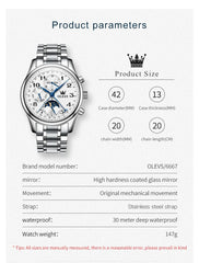 OLEVS Top Brand Luxury Automatic Mechanical Men